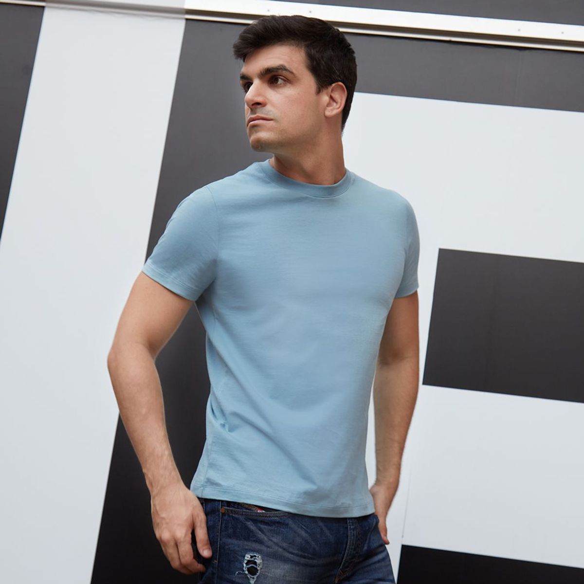 INSIGNIA - Polo 100% Algodón INSYGNIA