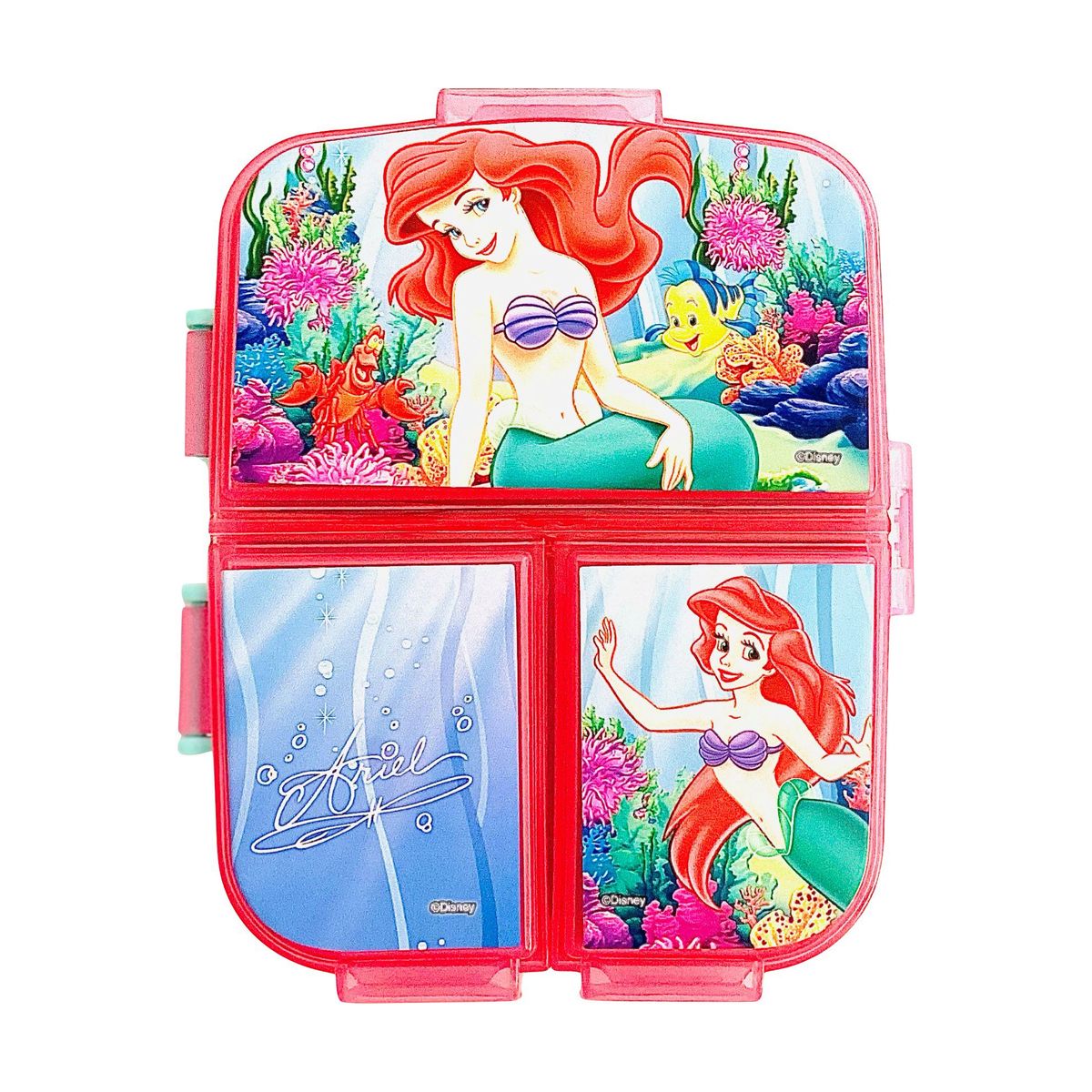 GENERICO - Taper XL CON 4 DIVISIONES