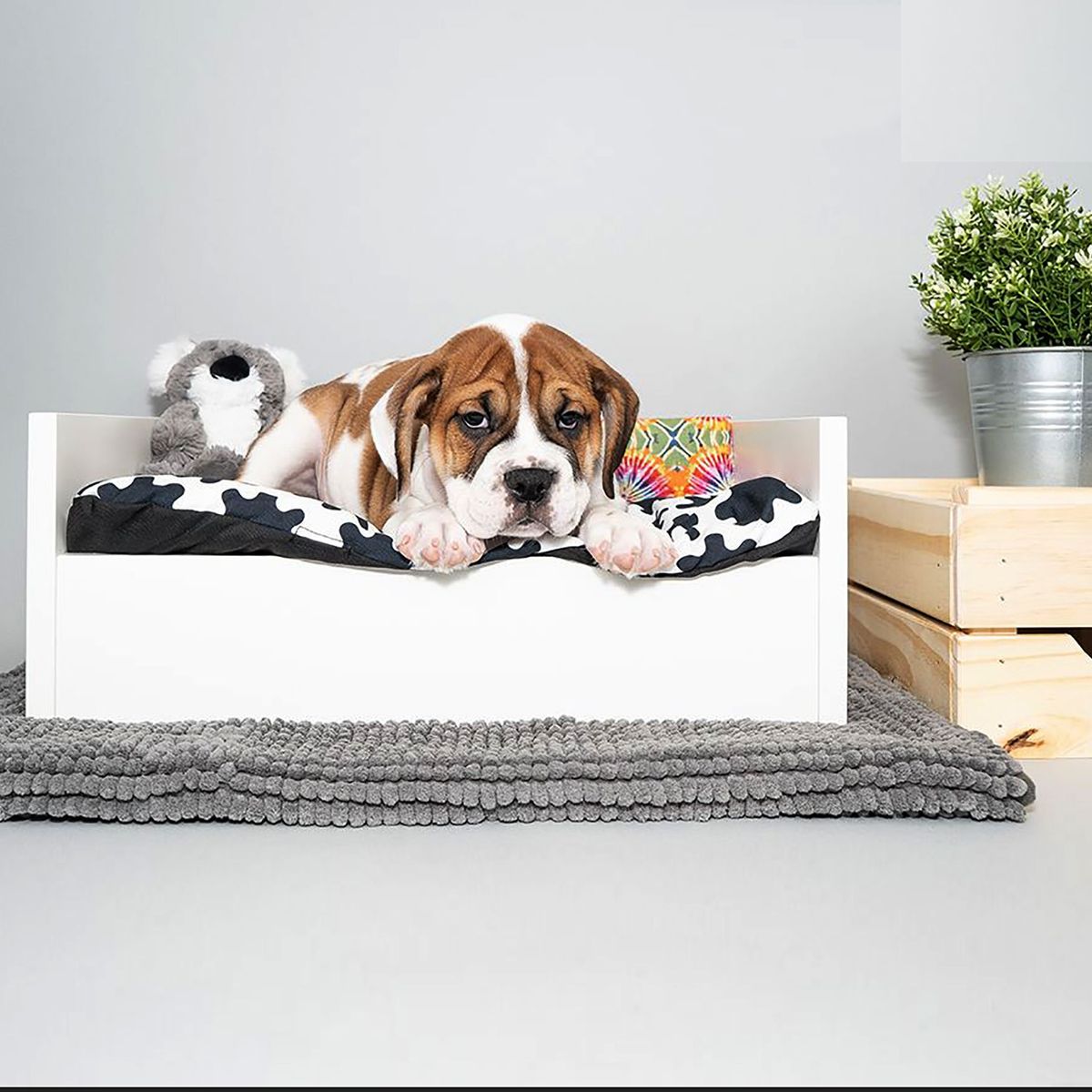 VILLA HOGAR - Cama mascota Bumer small - Villa Hogar