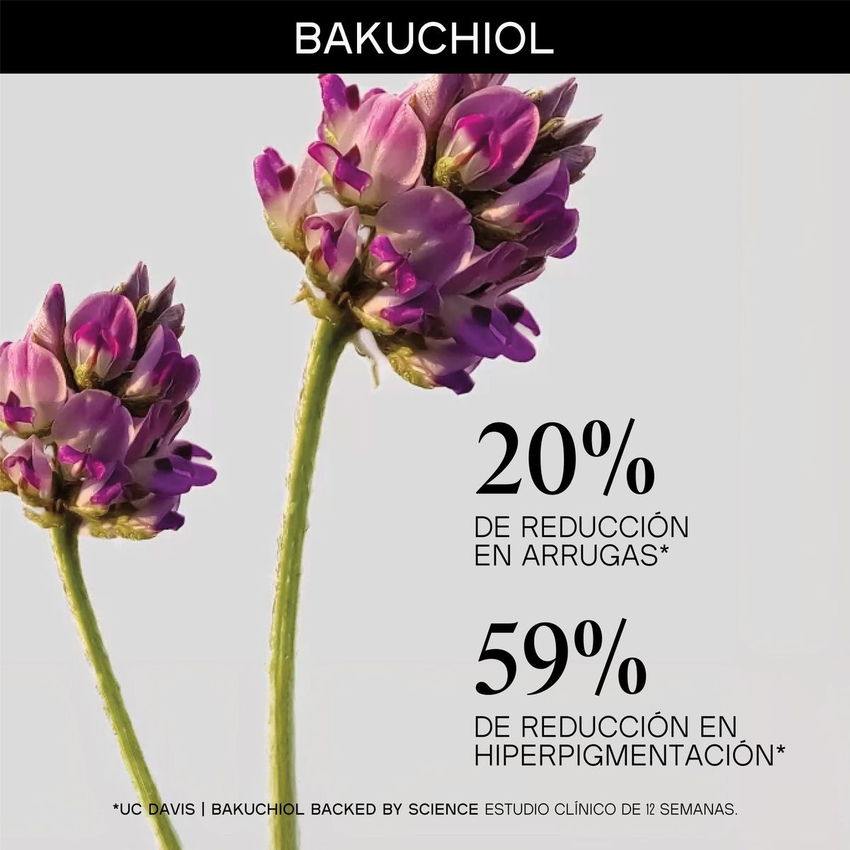 YXIA IV NATURAL BEAUTY - Crema antiaging con Bakuchiol Tetrapeptidos y Escualeno