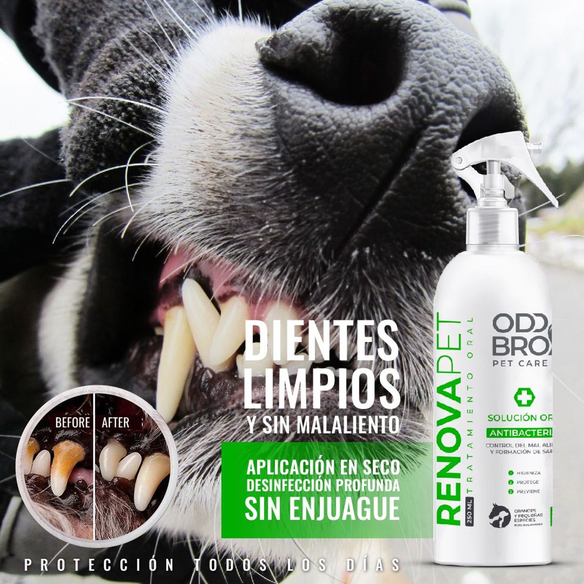 GENERICO - renovapet anti sarro oral de mascota
