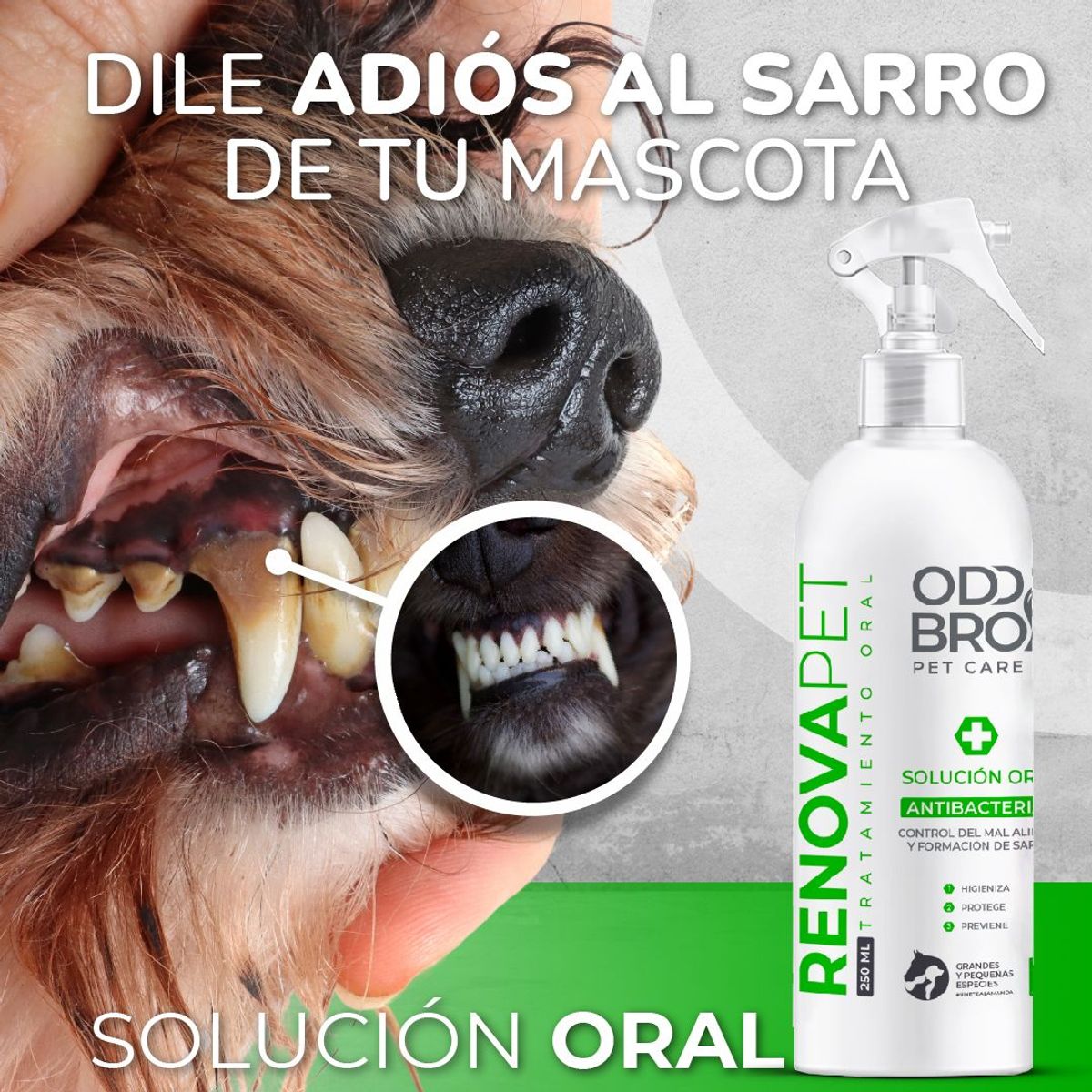 GENERICO - renovapet anti sarro oral de mascota