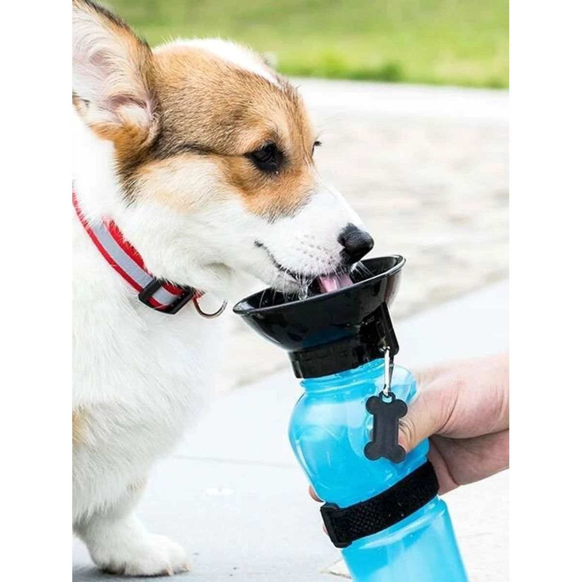 GENERICO - Toma todo Portátil para mascotas  - Aqua Dog - 500 ml