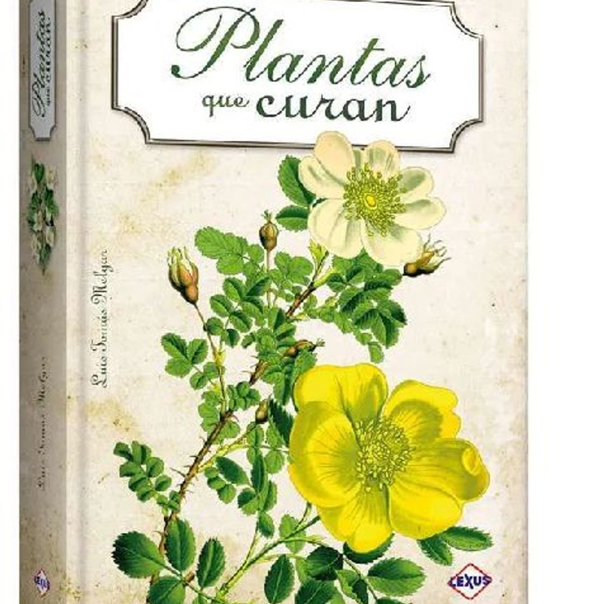 GENERICO - Libro Plantas que curan