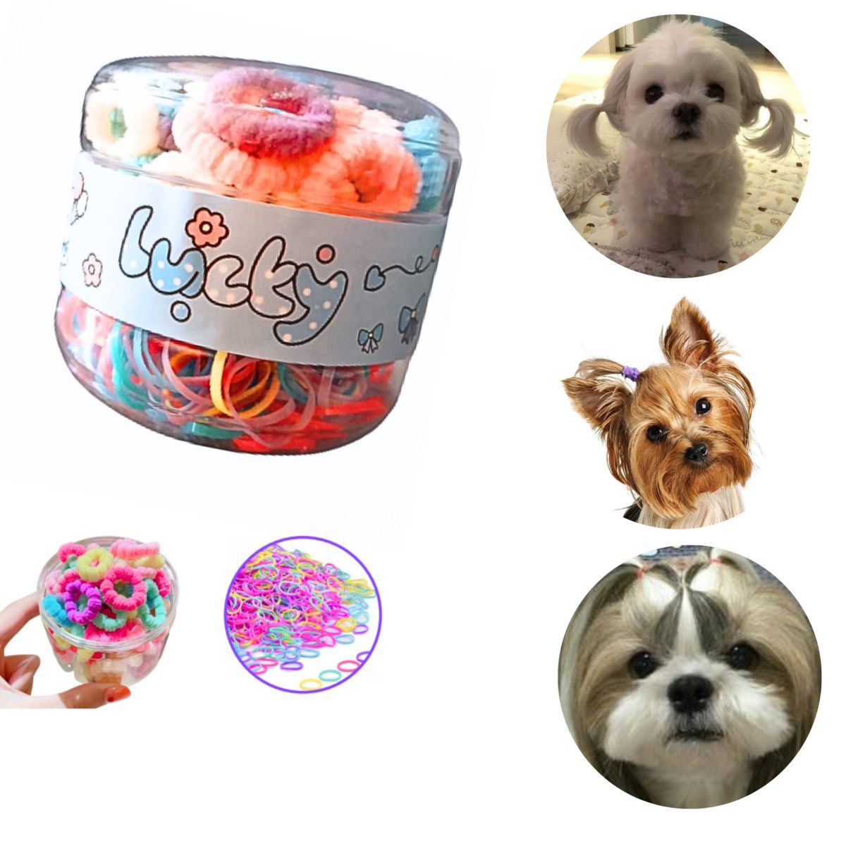 GENERICO - LIGAS DE COLORES PARA MASCOTAS PERRO Y GATO