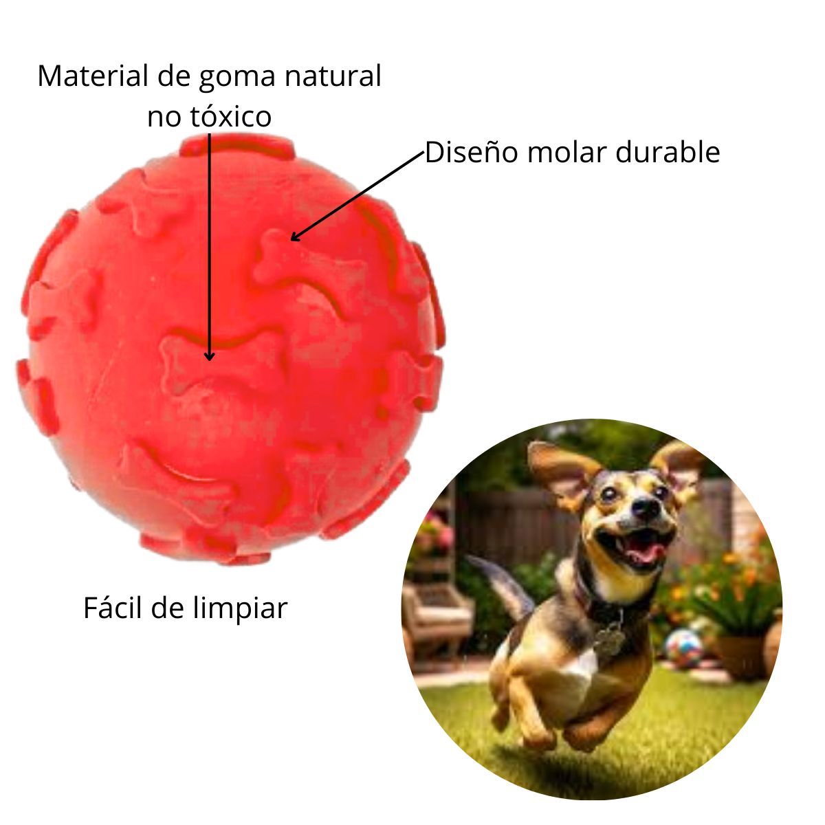 GENERICO - PELOTA DE JEBE PARA PERROS HUESITO COLOR ROJA