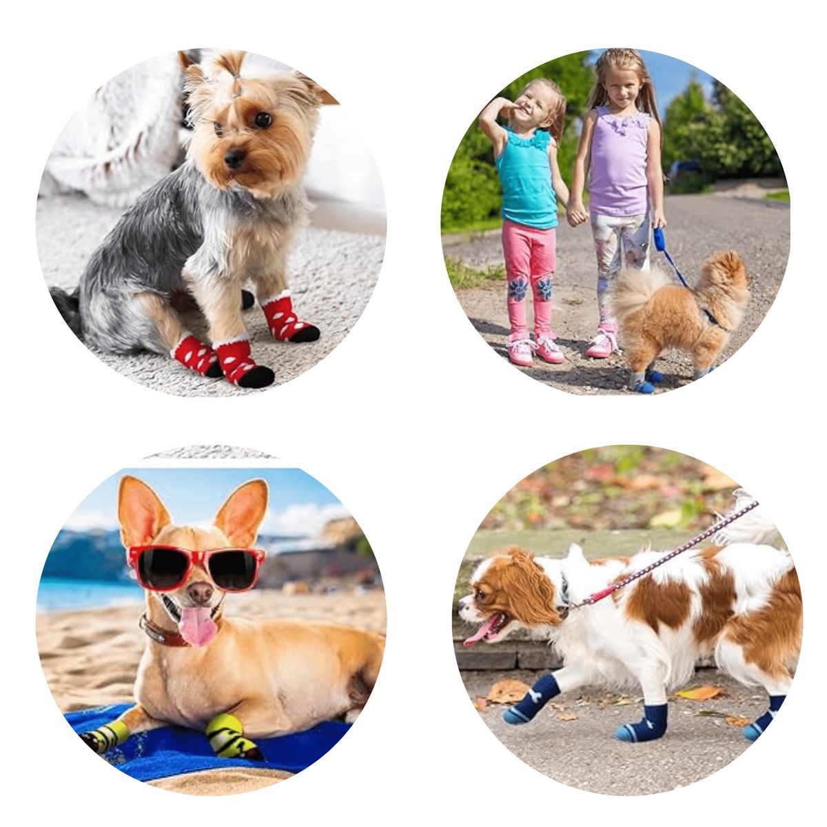 GENERICO - MEDIAS ANTIDESLIZANTES MASCOTA PERROS GATOS MACHO T-XL