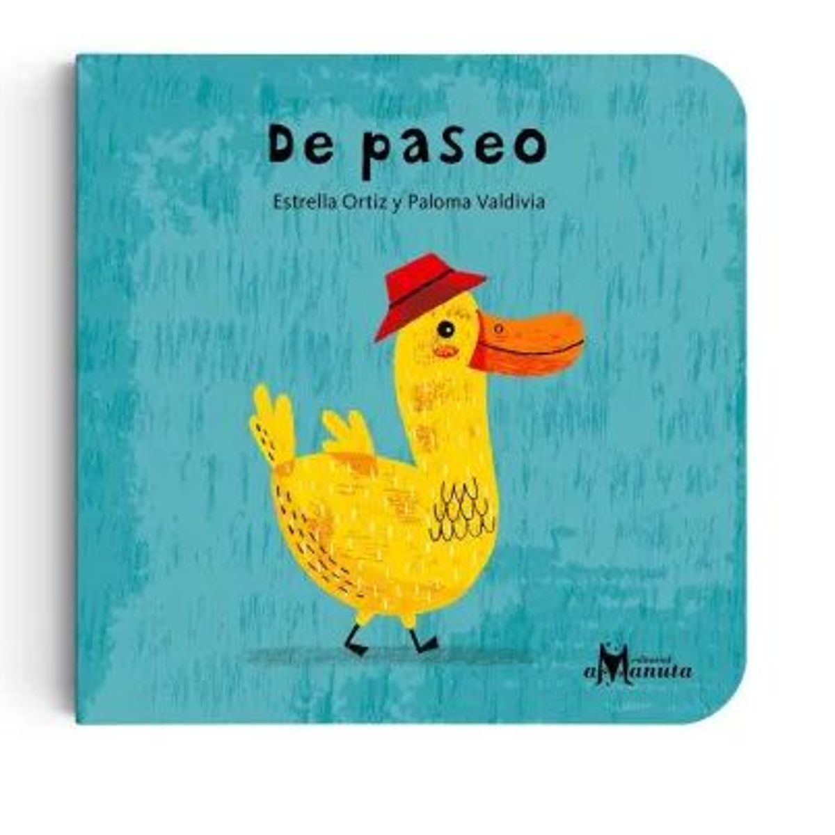 GENERICO - Libro infantil  De Paseo