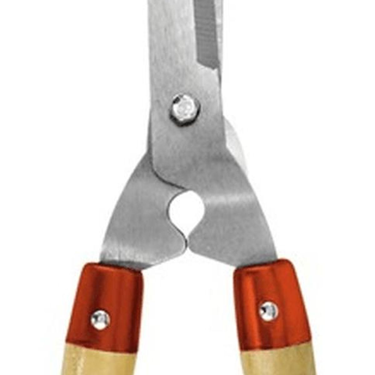 KAMASA - Tijera para Podar Flores 12MNatural Kamasa KM282