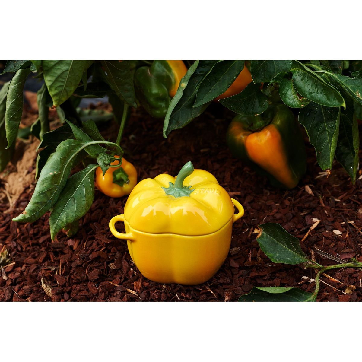 STAUB - Cocotte Pimiento 450 ml de Cerámica 12cm Color Amarillo - STAUB