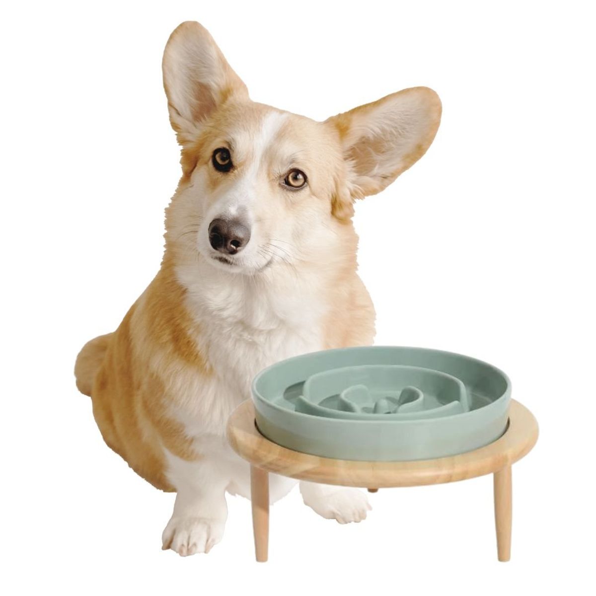 GENERICO - Plato de Alimentación Lenta para Gatos y Perros