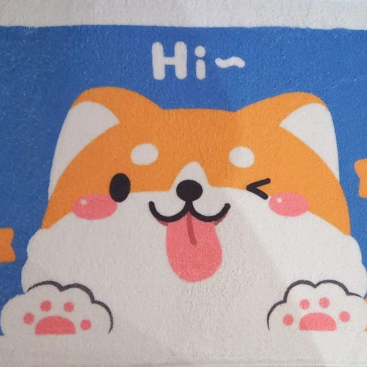 GENERICO - Tapete interior 60x40cm - Perrito