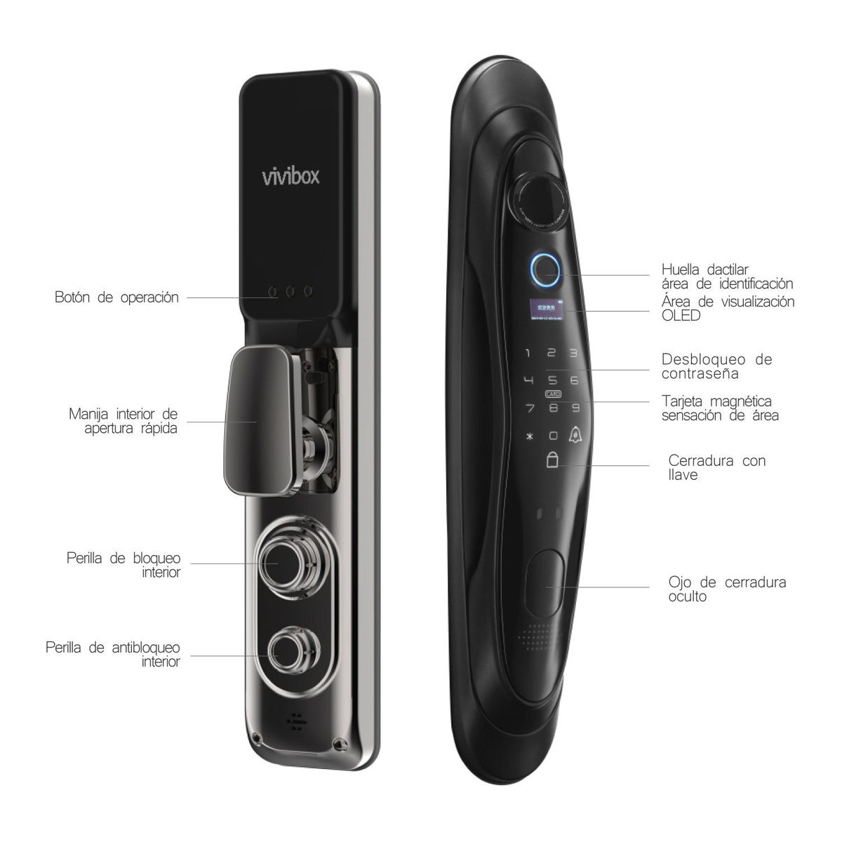 VIVIBOX - SEGURO INTELIGENTE CON HUELLA DACTILAR