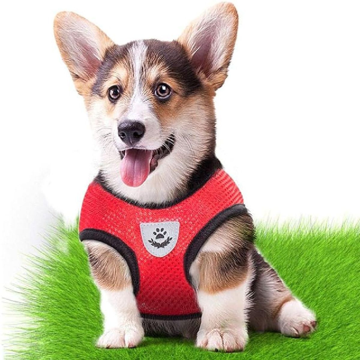 OTTOWARE - PECHERA DE MALLA PARA MASCOTAS TALLA XL