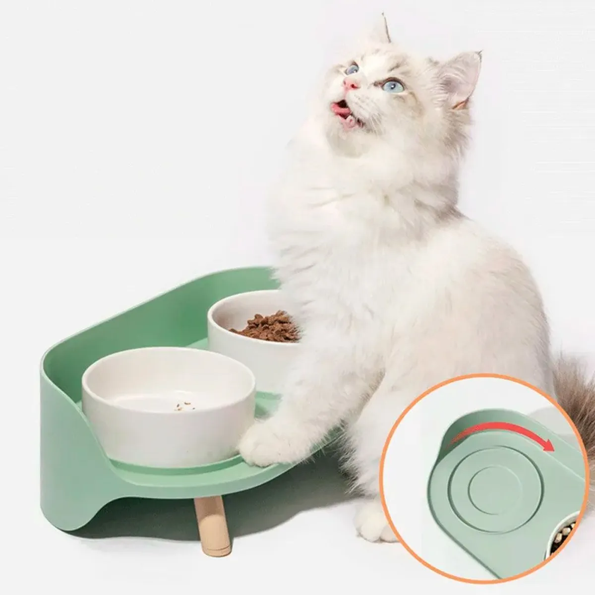 QUE PATAS PET SHOP - Platos Altos de Cerámica Blanco