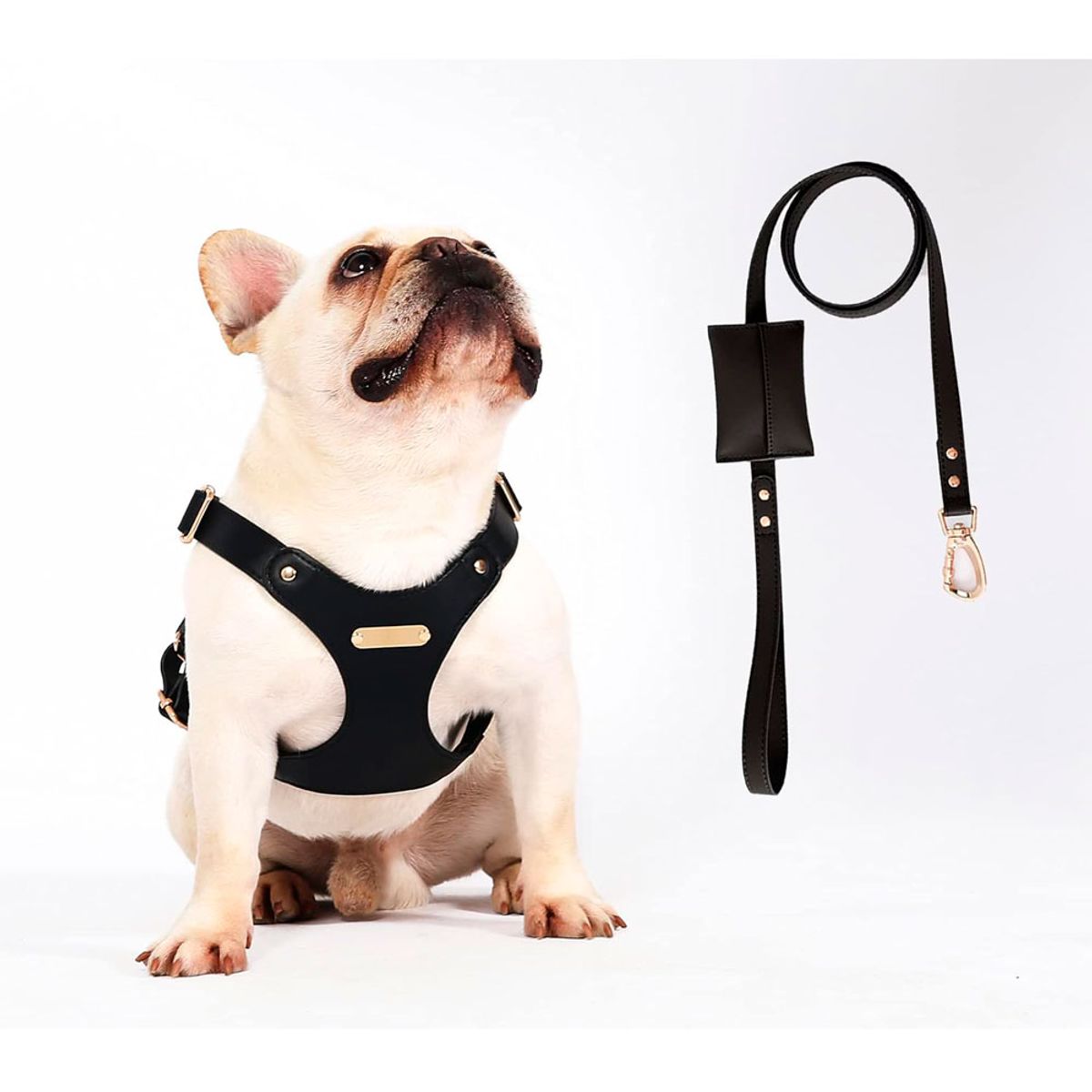 QUE PATAS PET SHOP - Arnés de Cuero con Correa Talla M Negro