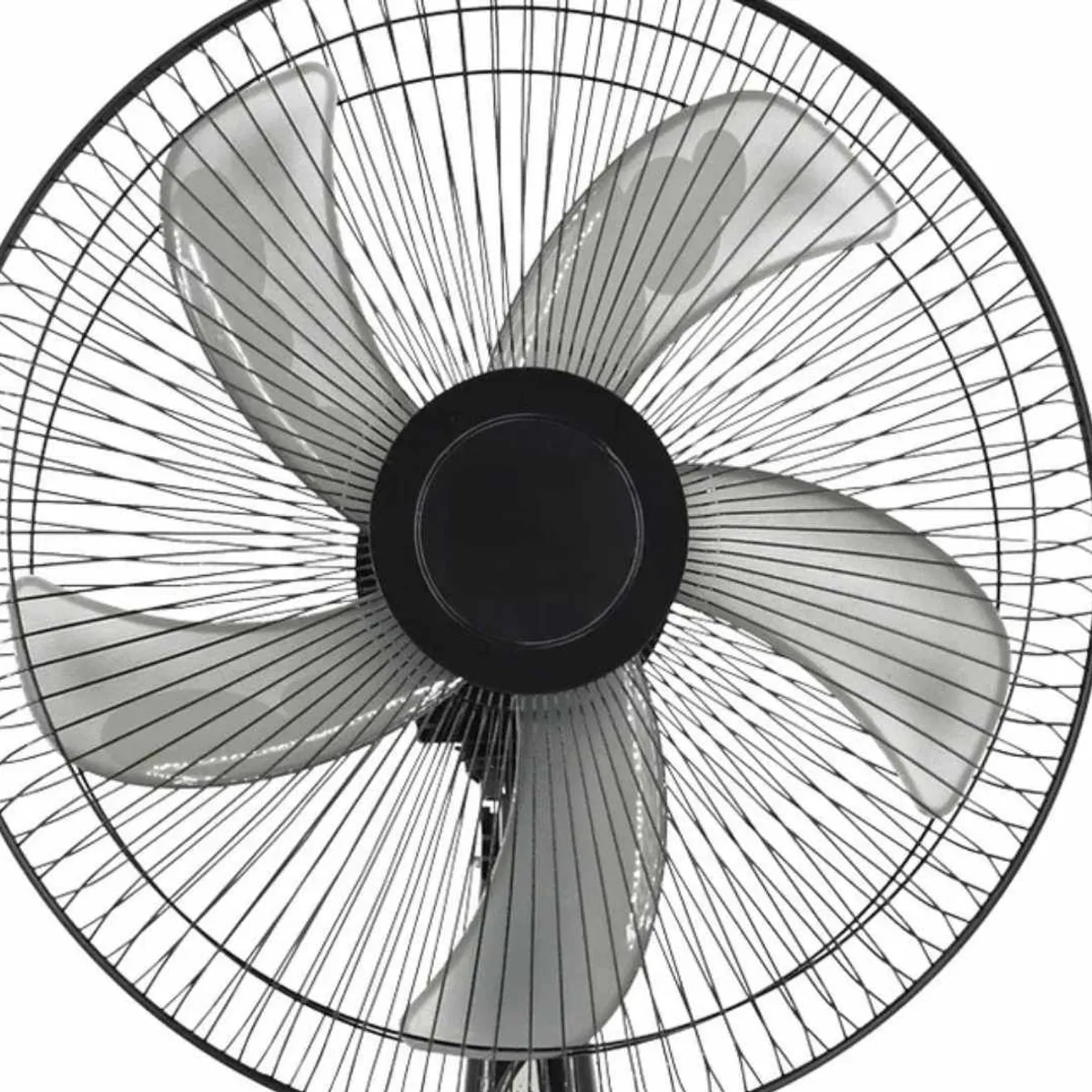 GENERICO - Ventilador de 5 Aspas 16' Giratorio de Pedestal Negro 40W FS-01