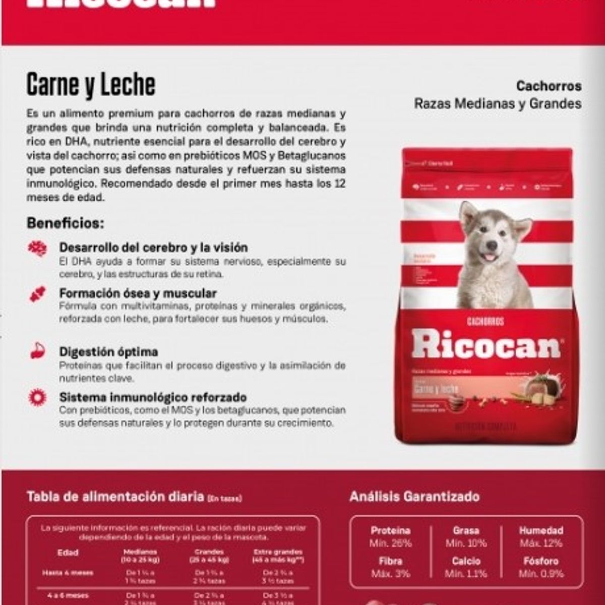 GENERICO - Comida Cachorro Medianos Y Grandes Ricocan Carne Y Leche 3Kg