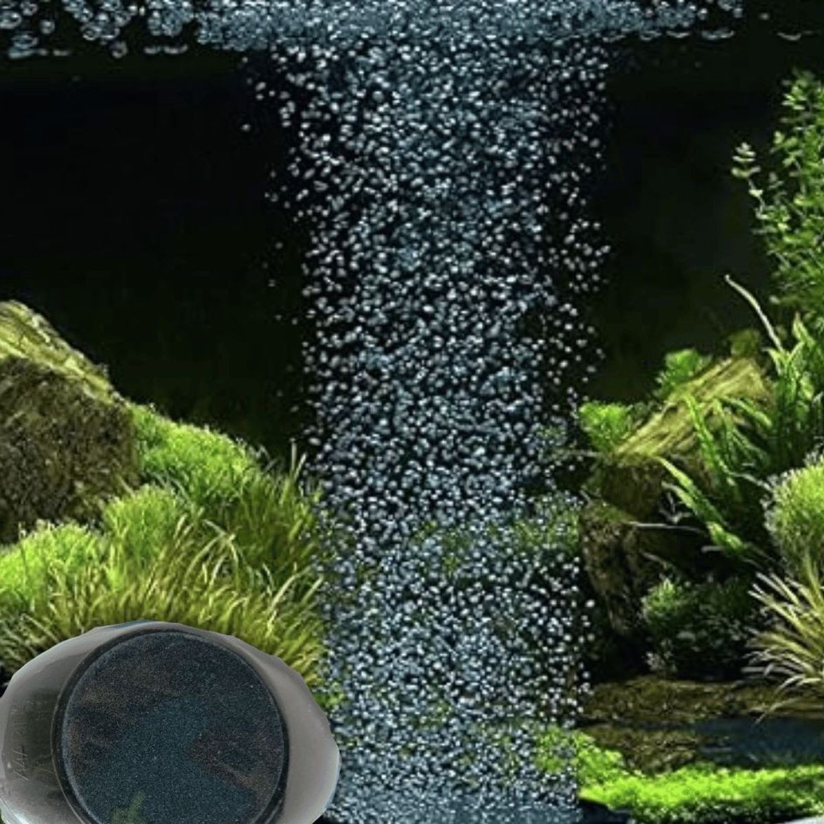 MARINA - MARINA PIEDRA DIFUSORA A986 ACUARIO