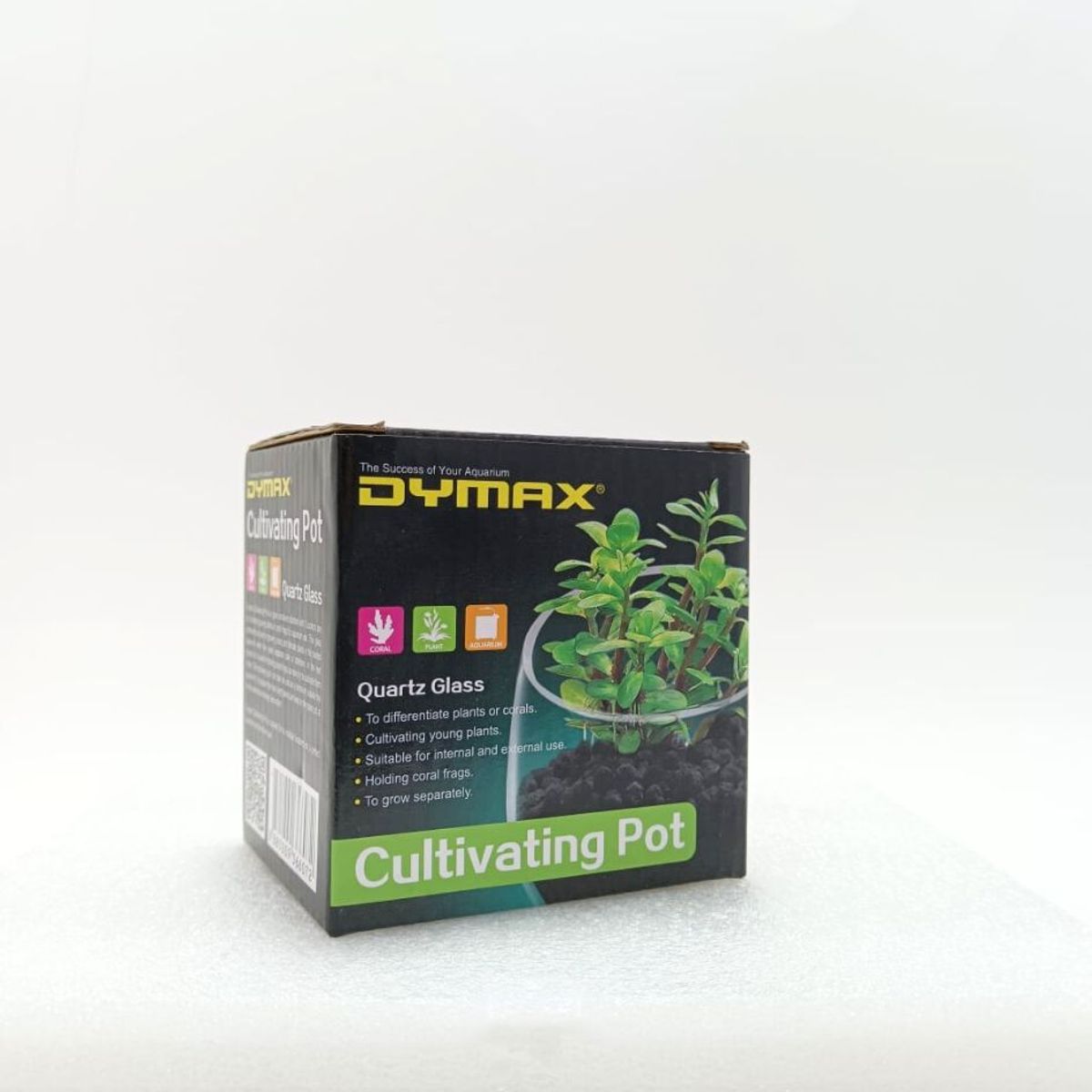 GENERICO - MACETA DE VIDRIO PLANTADOS PARA ACUARIOS DYMAX