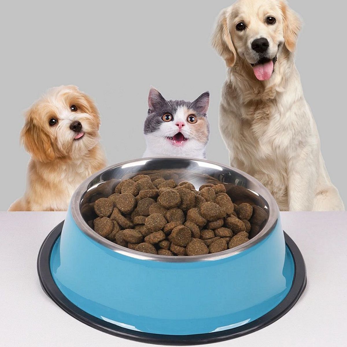 GENERICO - Plato Comedero Para Mascotas Dogs Happy