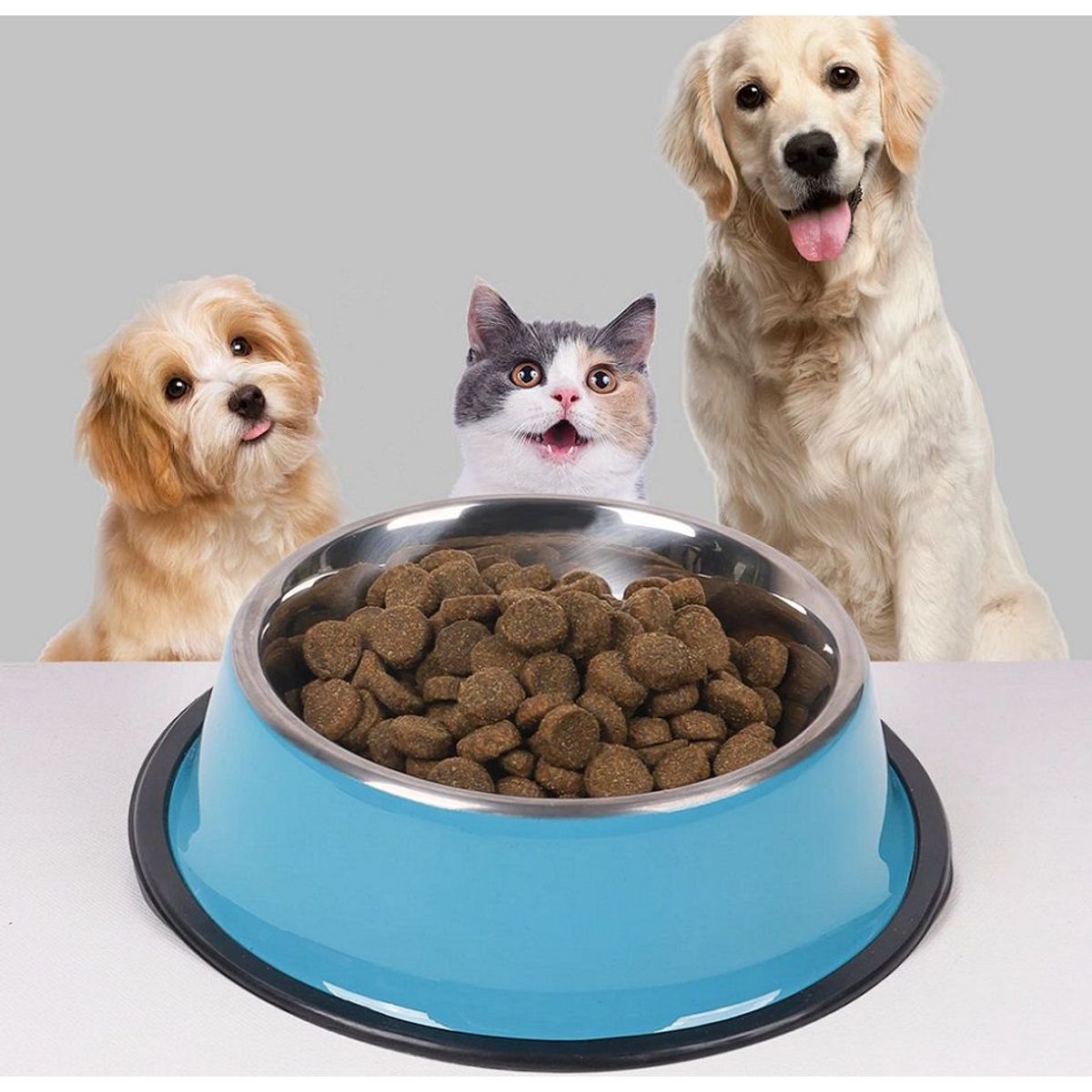 GENERICO - Plato Comedero Para Mascotas Dogs Happy