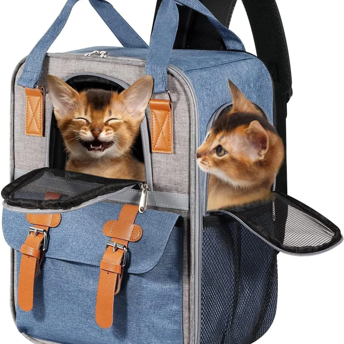 GENERICO - Mochila de viaje portátil impermeable transpirable senderismo gato