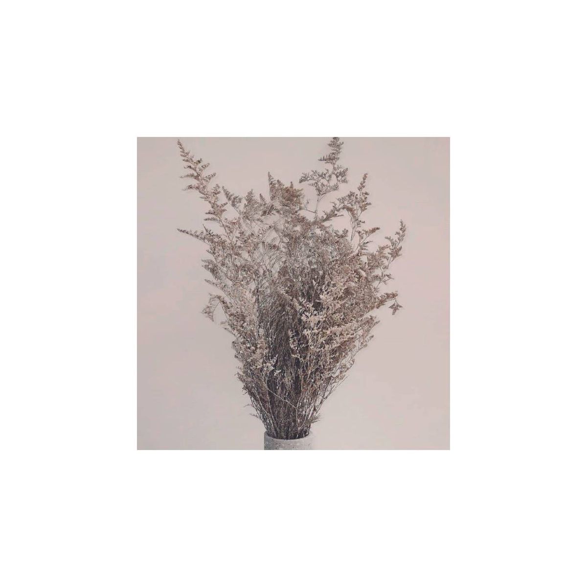 GENERICO - Ramo de jaspia natural blanca