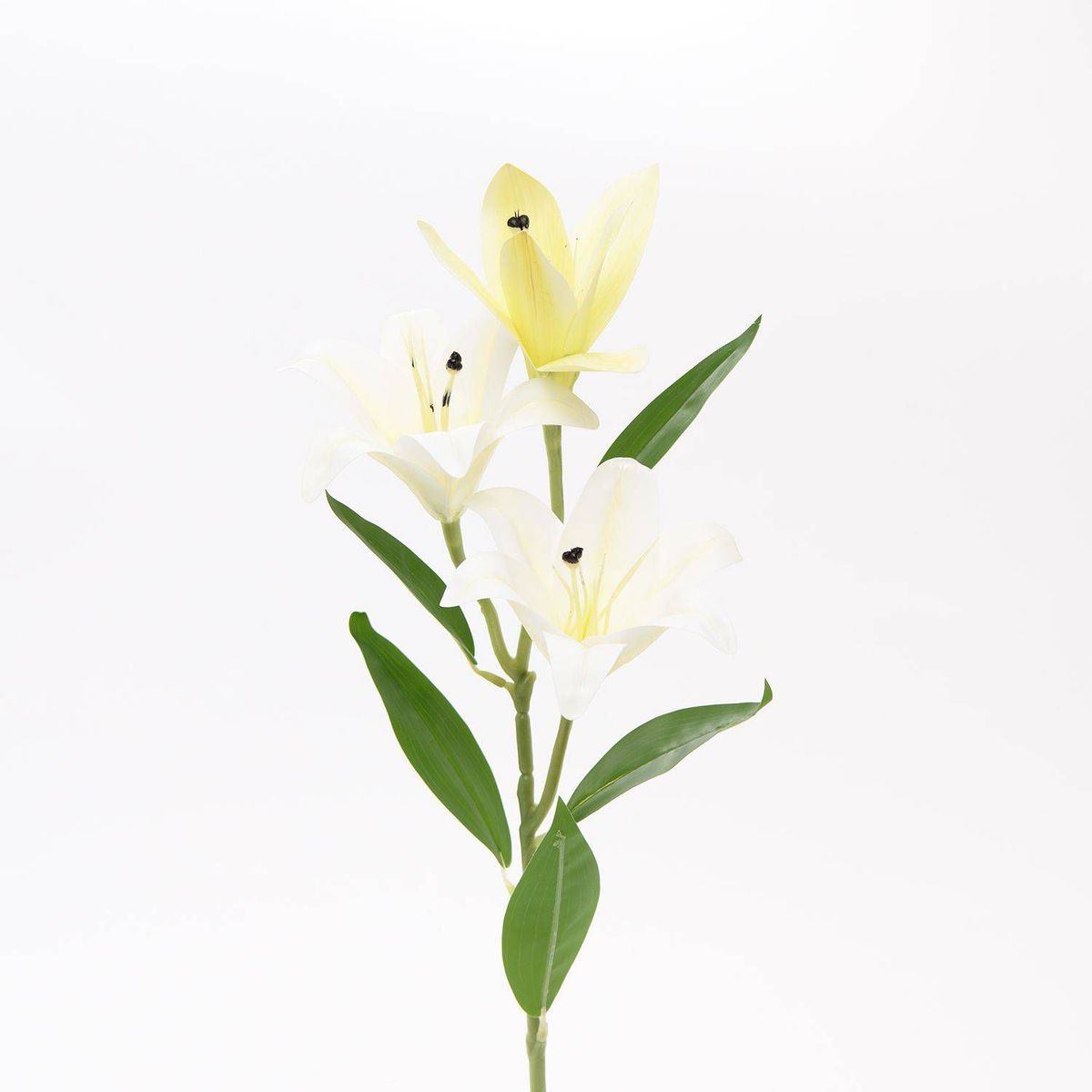 GENERICO - Lily Blanco 70 cm