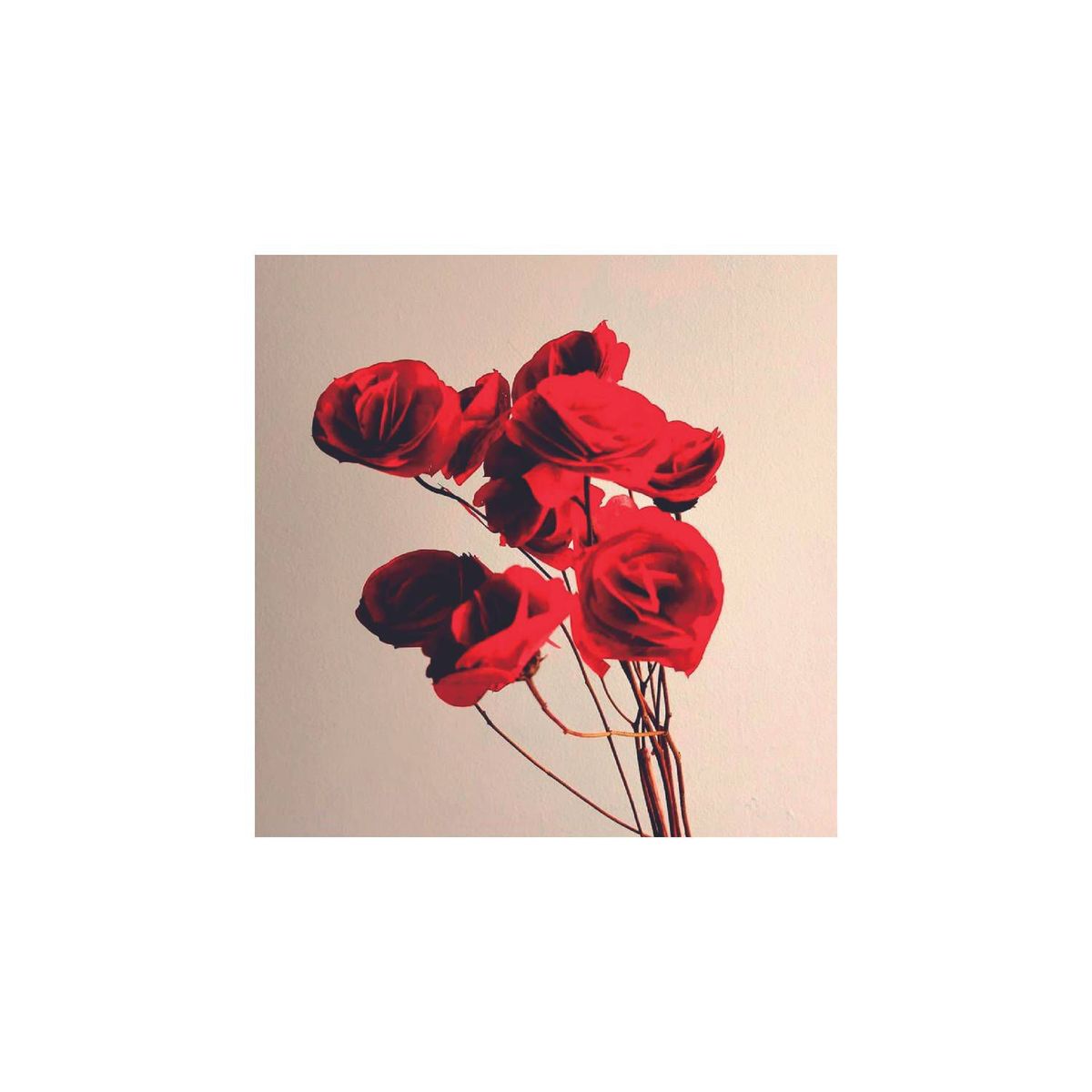 GENERICO - Ramo rosas secas rojas