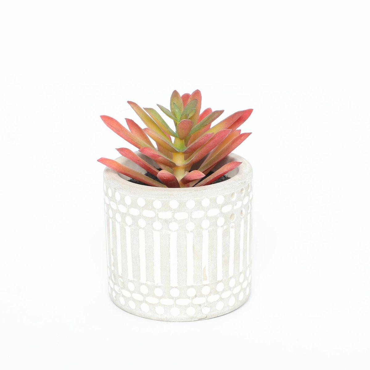 GENERICO - Suculenta Rosada 8x6cm