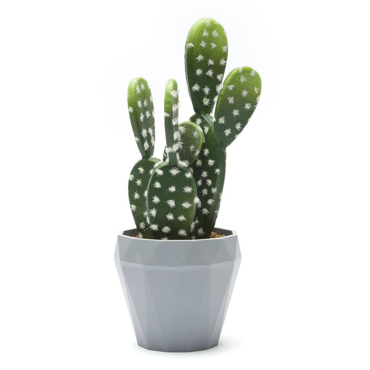GENERICO - Cactus Con Maceta 24x9cm