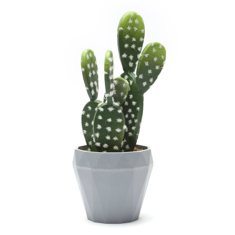 GENERICO - Cactus Con Maceta 24x9cm
