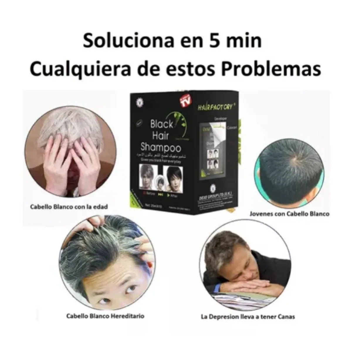 DEXE - Shampoo tinte Negro para CABELLO - CANAS - BARBA - CEJAS - BIGOTE X 10 SACHET