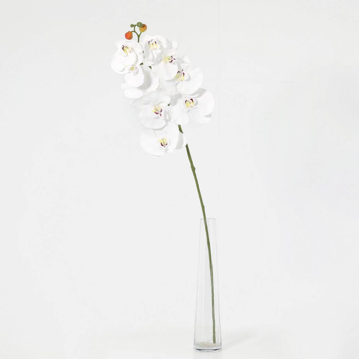 GENERICO - Vara de Flor Artificial Orquidea Blanca 78cm