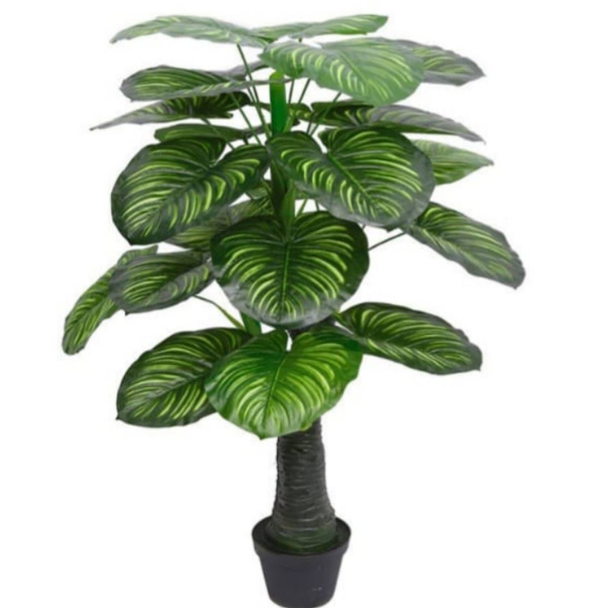 GENERICO - Planta LLuvia de Plata 1.60 m