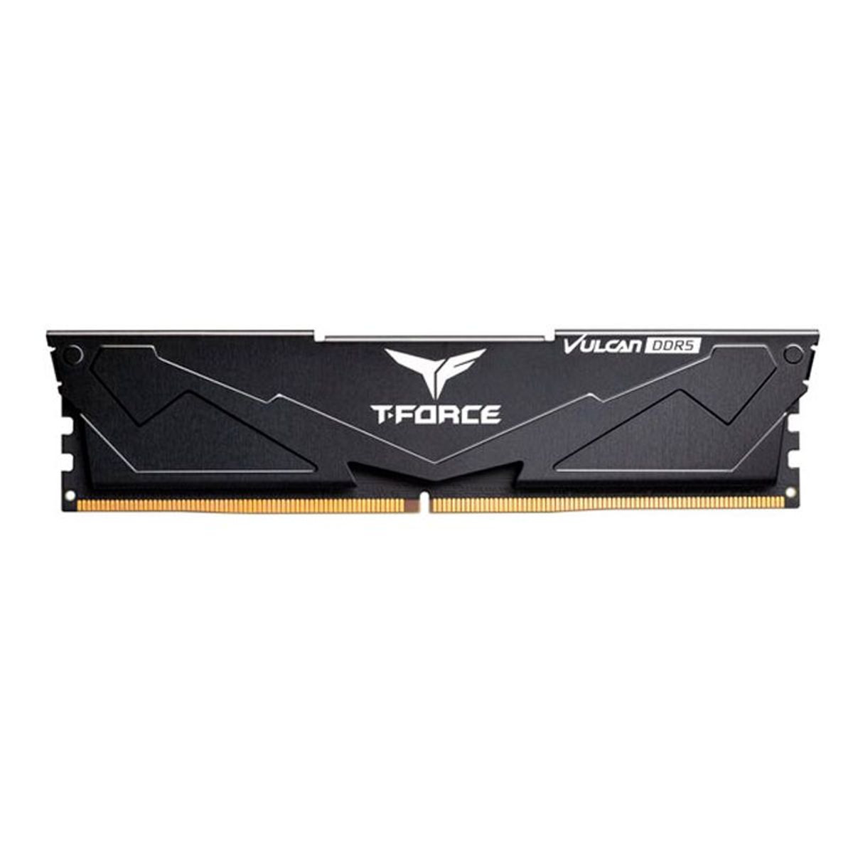 TEAMGROUP - Memoria TEAMGROUP T-FORCE VULCAN DDR5 16GB  DDR5-6000MHz