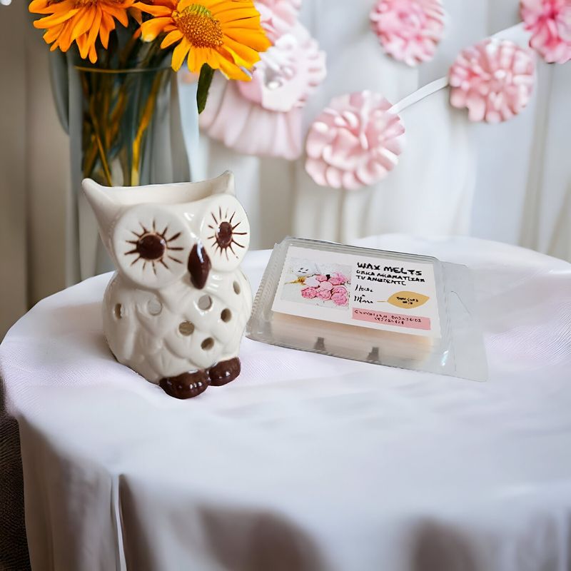 GENERICO - PACK WAX MELTS PERFUMADA MAS HORNITO QUEMADOR BUHO 2