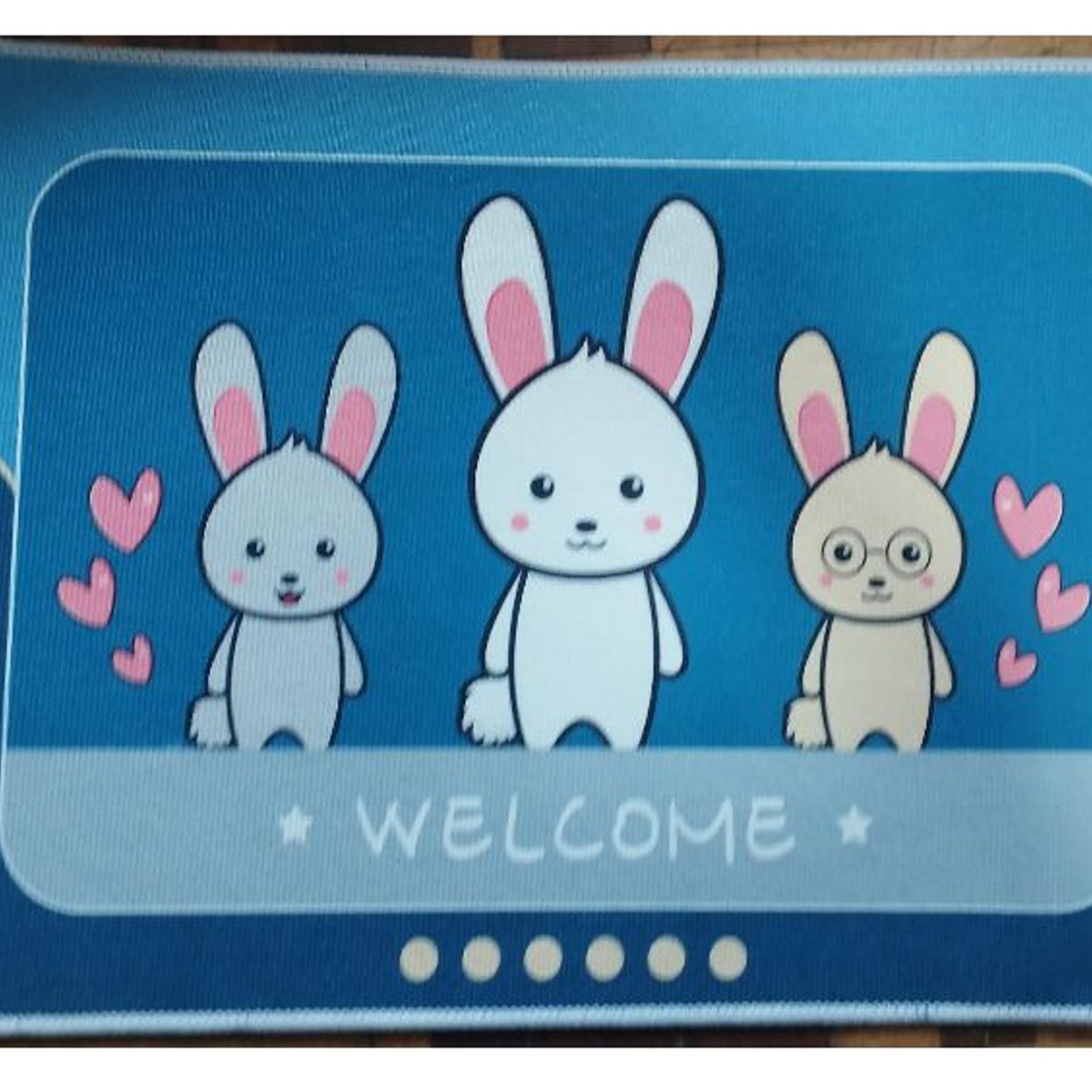 GENERICO - Piso afelpado para niños baño dormitorio sala M9 40x60cm