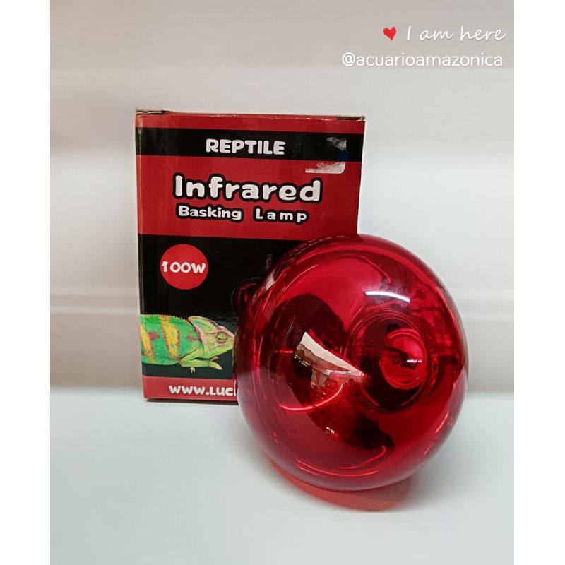 GENERICO - FOCO INFRARED BASKING LAMP 100W PARA MASCOTAS