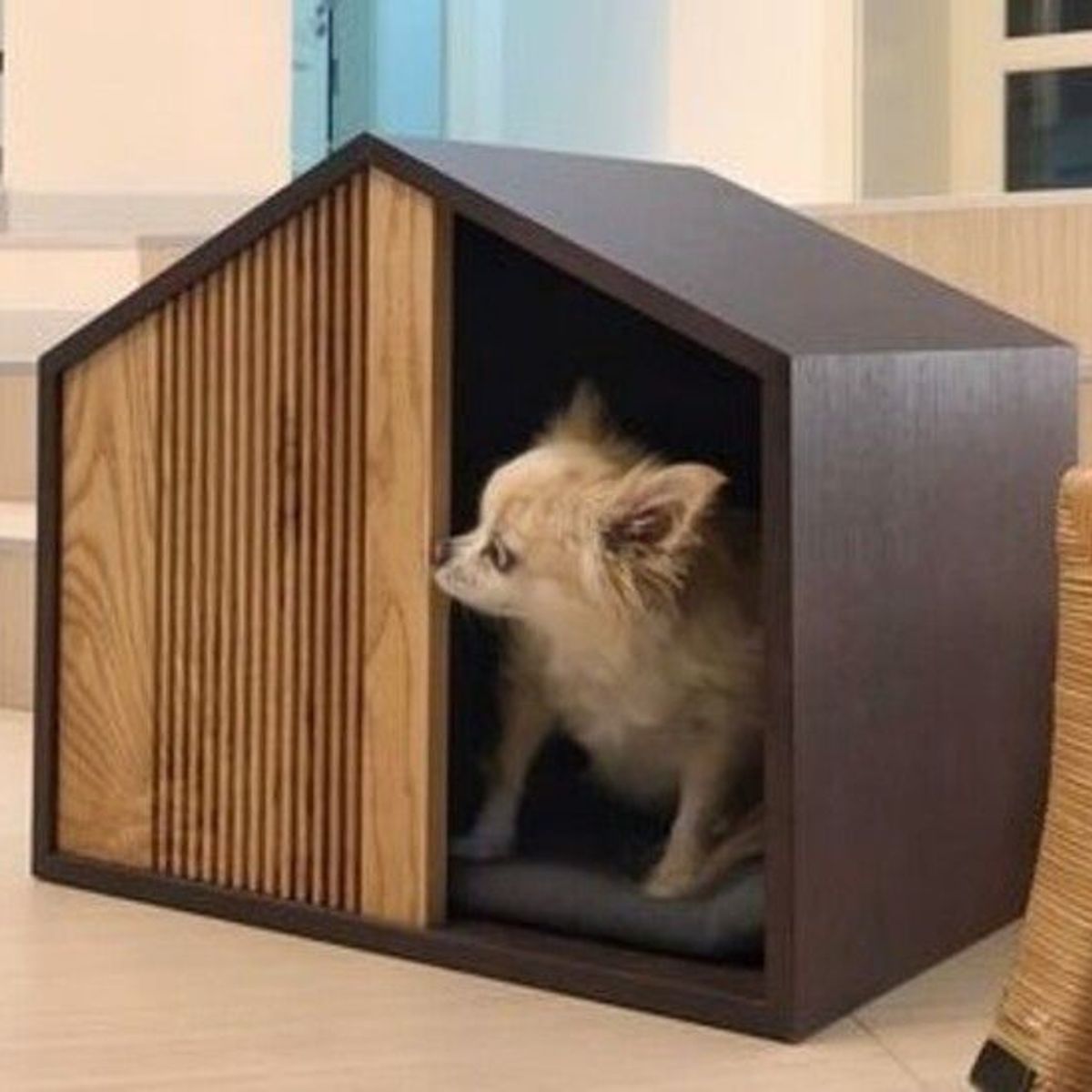 GENERICO - Casa para perros DOG HOUSE OTTO-S