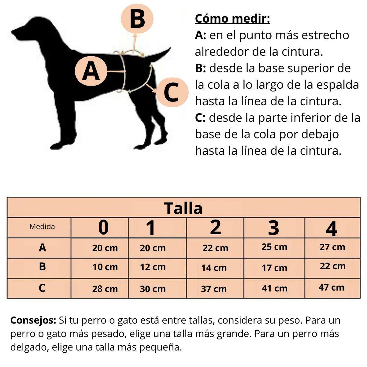 GENERICO - CALZON DE ALGODÓN PARA PERROS Y GATOS - MASCOTA PACKx3 T-1
