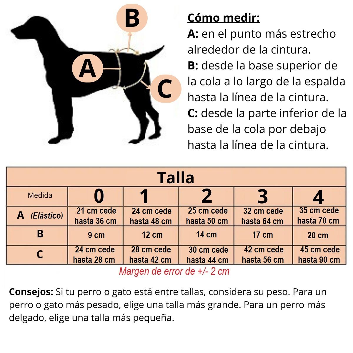 GENERICO - CALZON DE ALGODÓN PARA PERROS Y GATOS - MASCOTA PACKx3 T-2