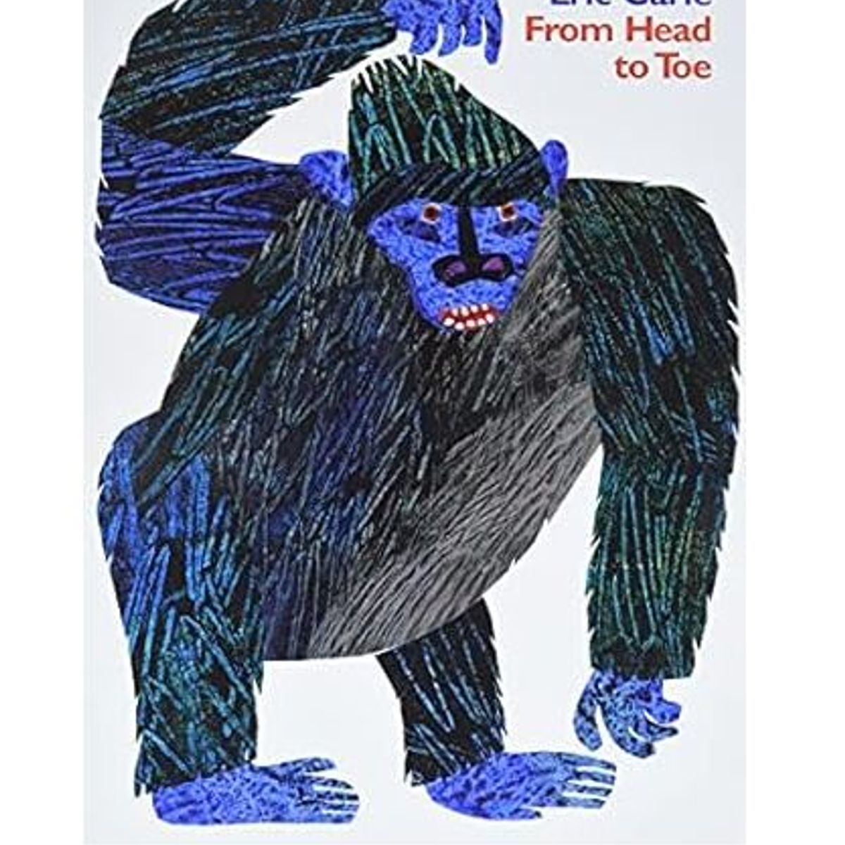 GENERICO - From Head to Toe - Eric Carle