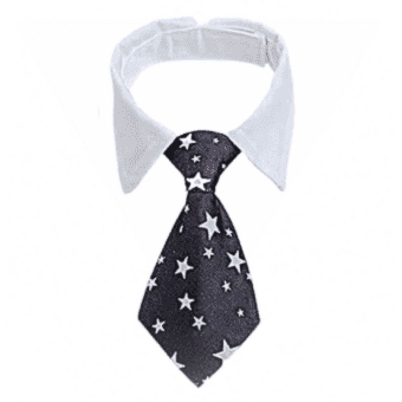 GENERICO - CORBATA CON CUELLO PARA MASCOTA NEGRA ESTRELLAS