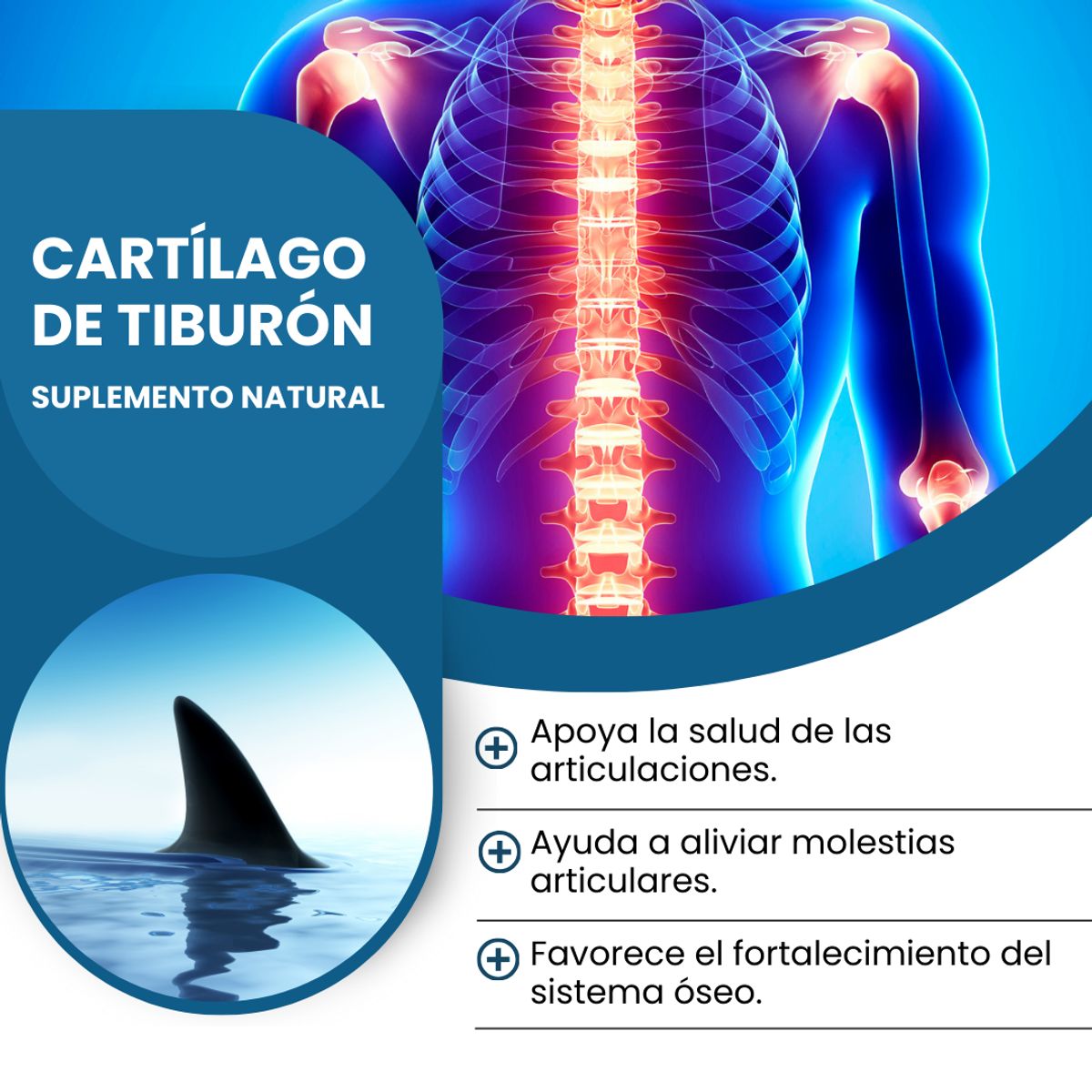DINOA - Cartílago de Tiburón Pote de 80gr Dinoa- Salud articular  Movilidad