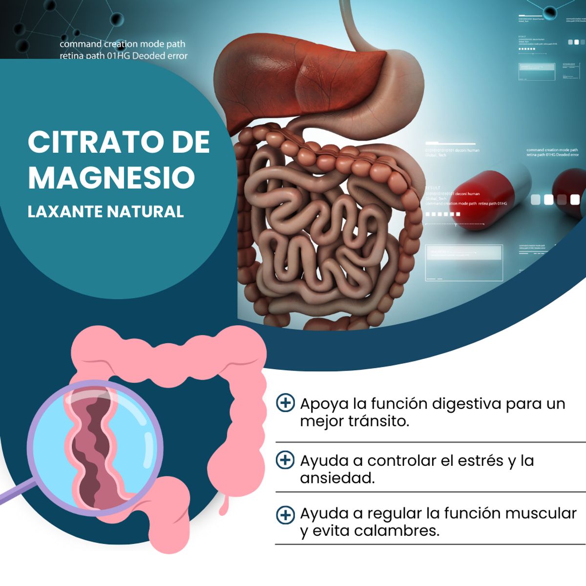 DINOA - Citrato de Magnesio Polvo 80gr Dinoa - Relajación - Equilibrio corporal