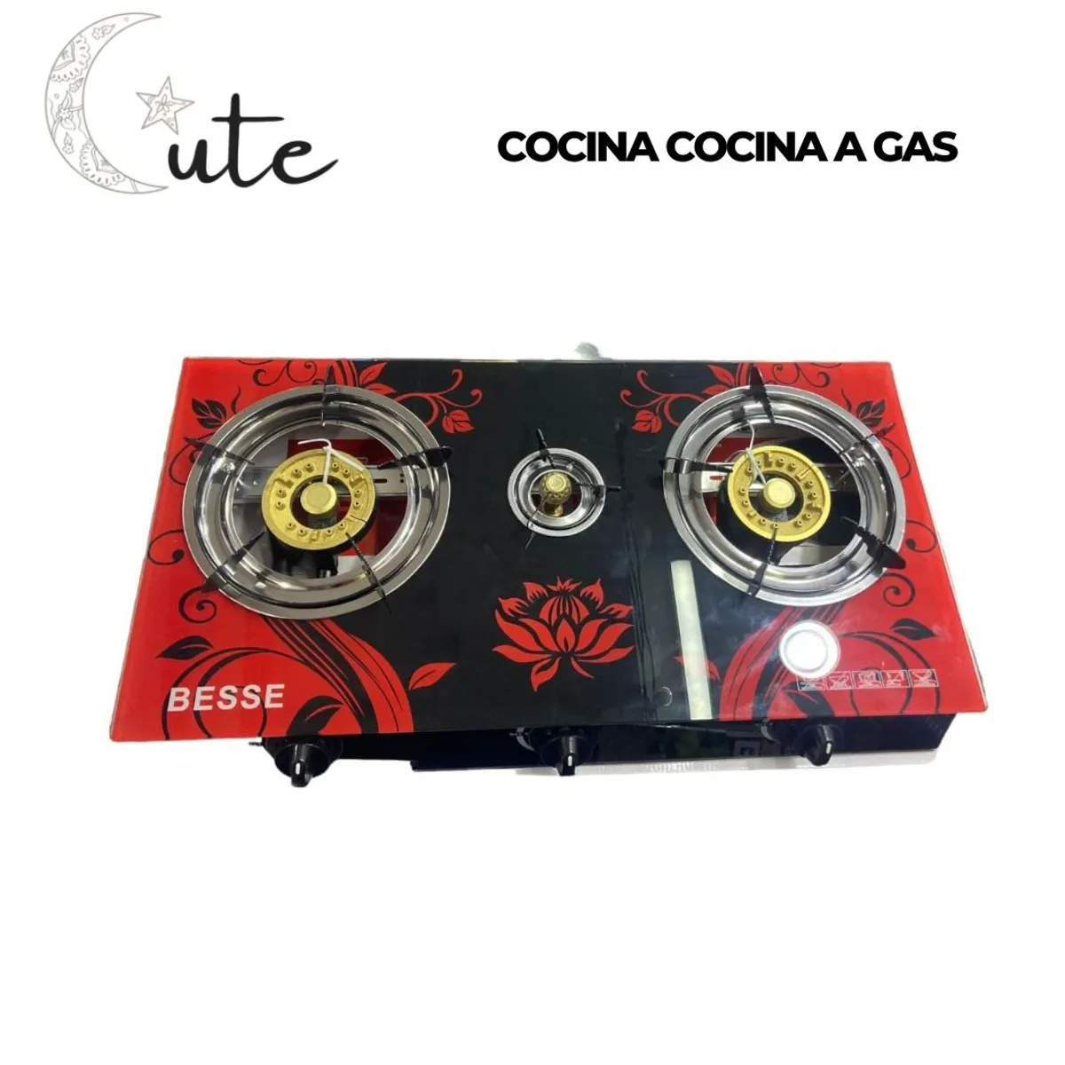 GENERICO - COCINA A GAS MARCA BESSE