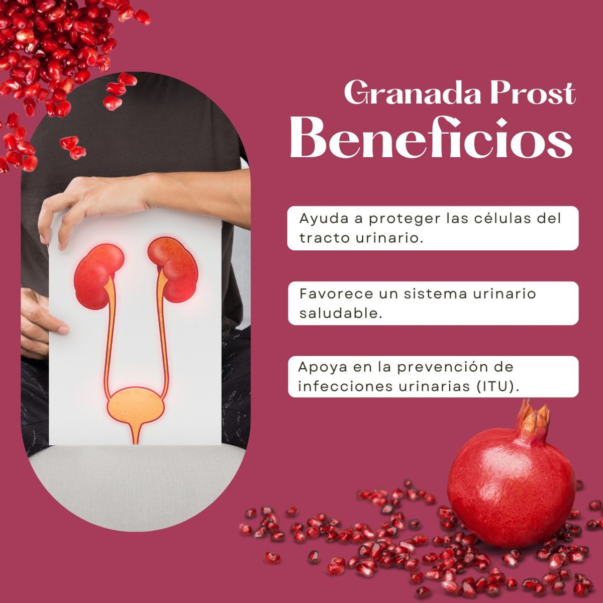 DINOA - Granatum Pote de 80gr Dinoa- Salud urinaria -Antioxidantes