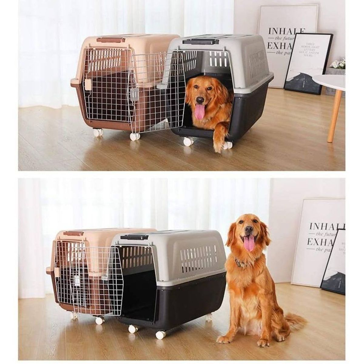 GENERICO - Kennel Transportador L80 Piso Impermeable Mediano